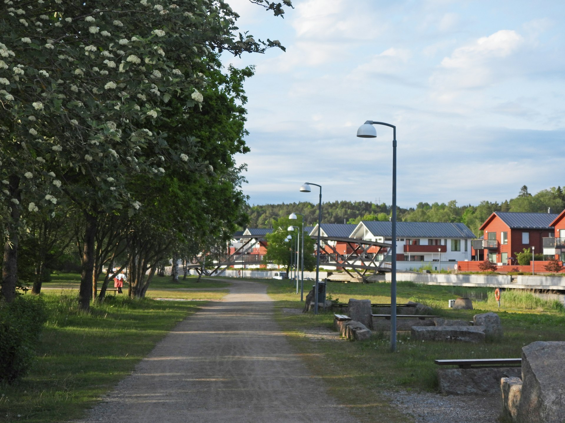 a dirt road surrounded by grass and trees